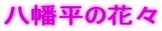 ̉ԁX
